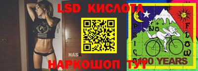 спиды Канаш