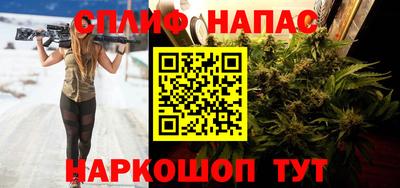 спиды Канаш